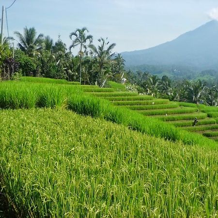 Zen Rooms Badung Nyangnyang Sari Кута Екстериор снимка