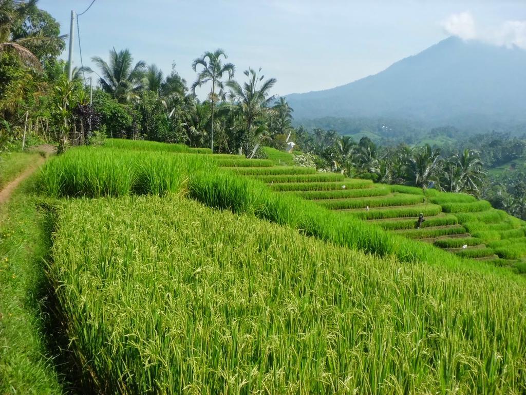 Zen Rooms Badung Nyangnyang Sari Кута Екстериор снимка